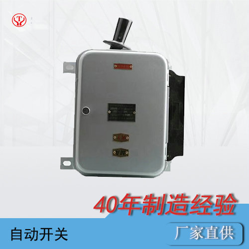 3噸架線(xiàn)式井下電機車(chē)QDS1自動(dòng)開(kāi)關(guān)
